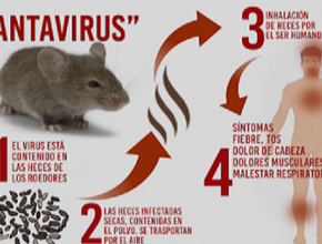 চীনে নতুন ভাইরাসের ছোবলে ১ জনের মৃত্যু