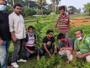 সবুজের বার্তা নিয়ে রেললাইনের ধারে বৃক্ষরোপণ